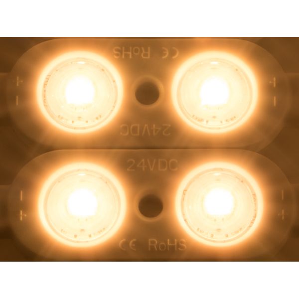 LED module ensures Tiwn 12 CLW IP65  CRI/RA 90+ image 2