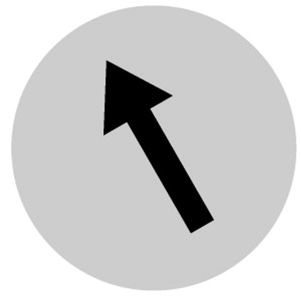 Button lens, raised white, arrow symbol image 1