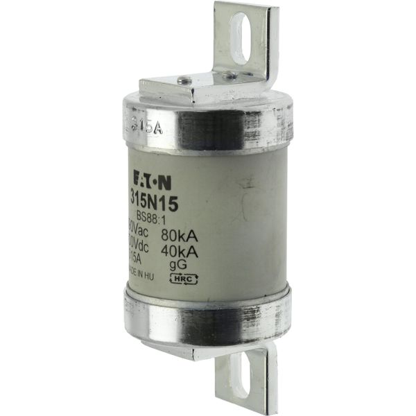 Fuse-link, low voltage, 315 A, AC 660 V, BS88, 49 x 120 mm, gL/gG, BS image 5