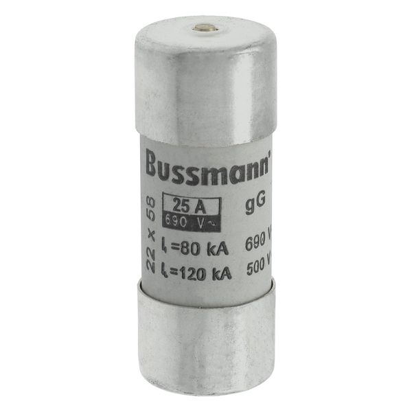 Fuse-link, LV, 25 A, AC 690 V, 22 x 58 mm, gL/gG, IEC, with striker image 15