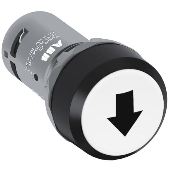 CP9-1015 Pushbutton image 1