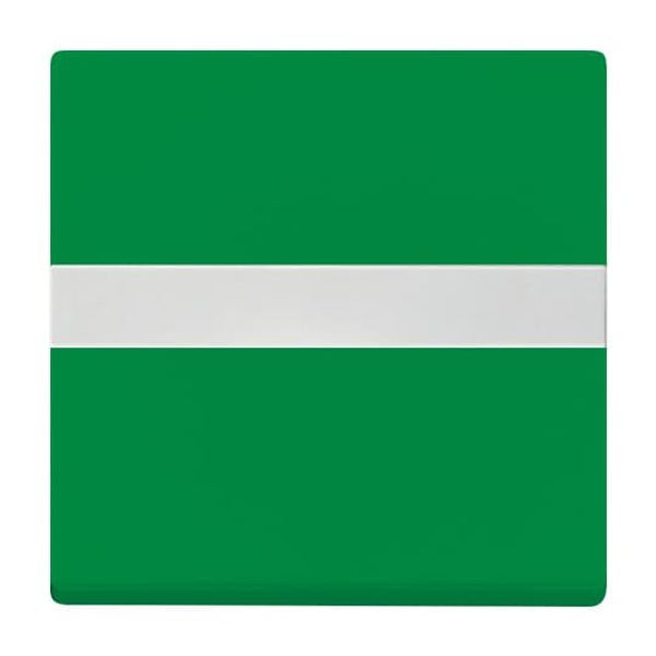 1764 NLI-13-82 CoverPlates (partly incl. Insert) future®, Busch-axcent®, solo®; carat®; Busch-dynasty® green image 5