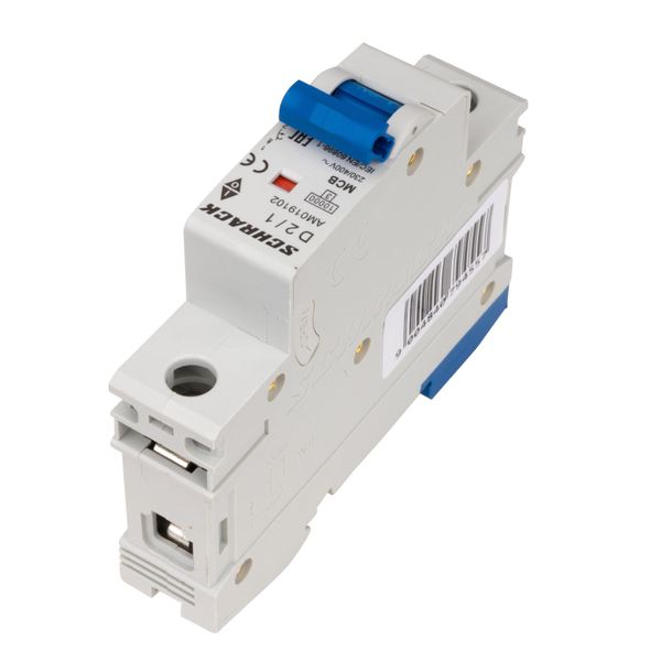 Miniature Circuit Breaker (MCB) AMPARO 10kA, D 2A, 1-pole image 4