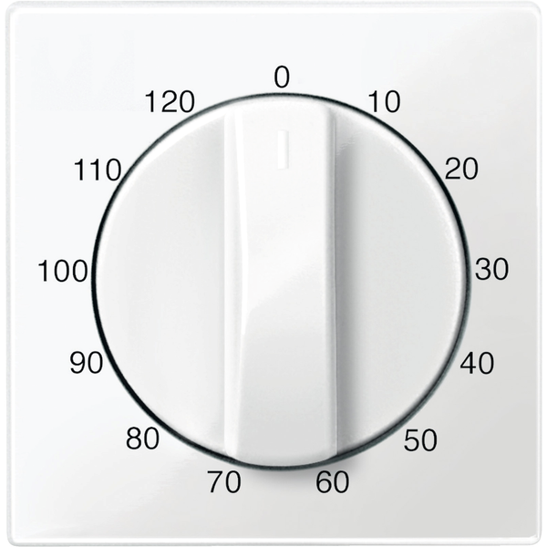 Central plate for time switch insert, 120 min, polar white, glossy, System M image 2