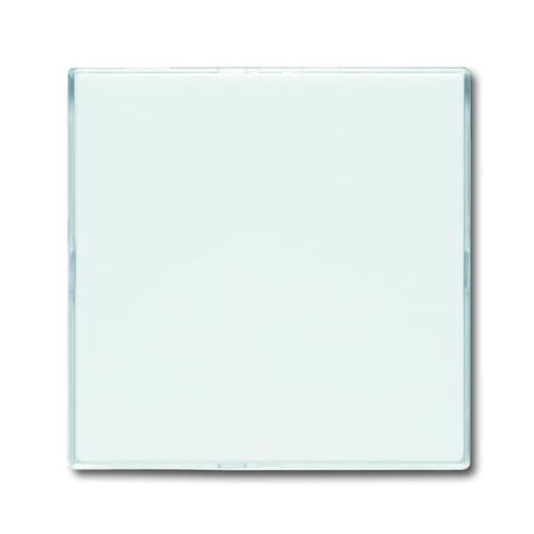 1576 CN-84 CoverPlates (partly incl. Insert) future®, Busch-axcent®, solo®; carat® Studio white image 2