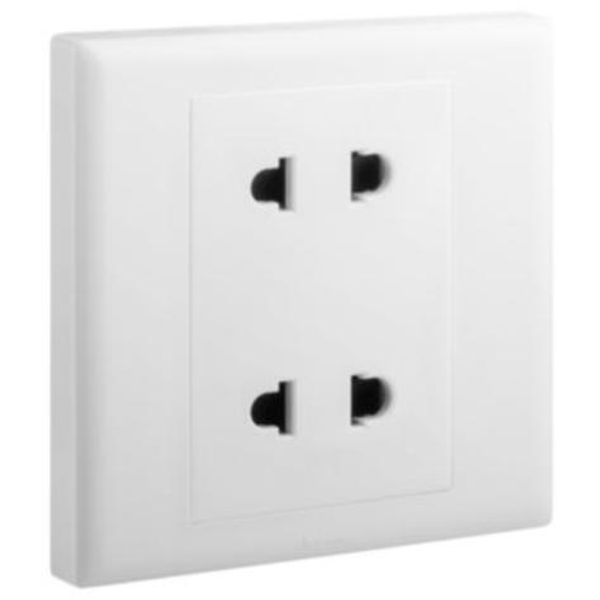 Eloe 1gang 2x2p euro-us socket image 1