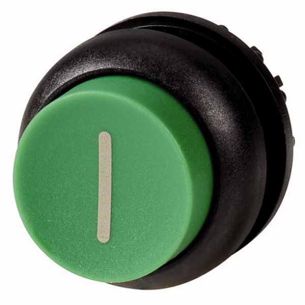 Pushbutton, RMQ-Titan, Extended, maintained, green, inscribed, Bezel: black image 1