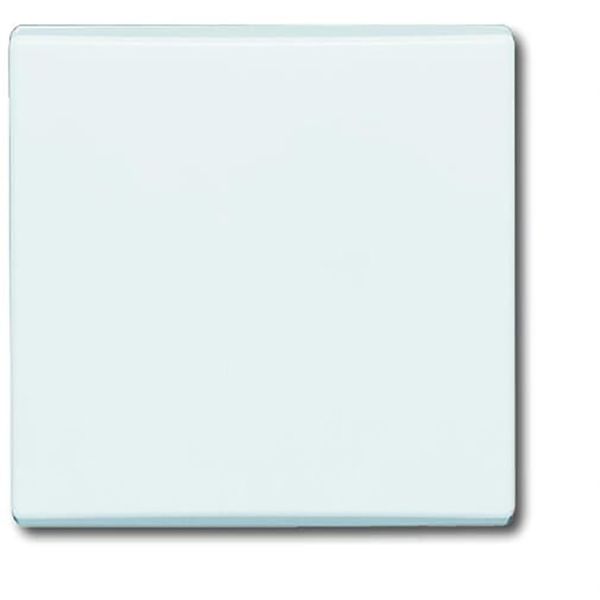2106-34 CoverPlates (partly incl. Insert) carat® Alpine white image 1
