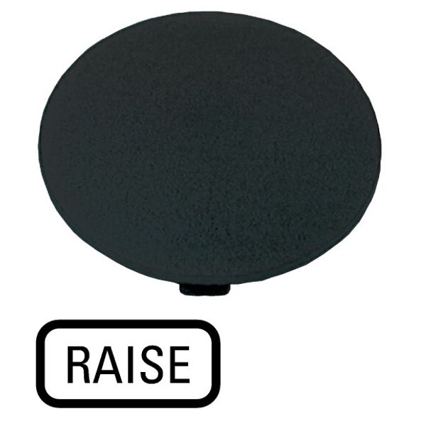 Button plate, mushroom black, RAISE image 1