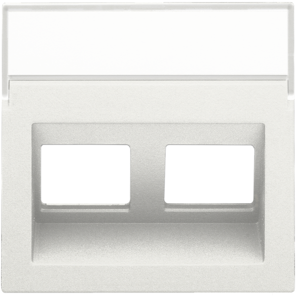 Central plate data 2x RJ oblique output, white image 2