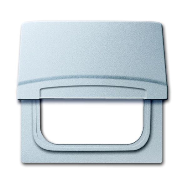 2118 GK-33 CoverPlates (partly incl. Insert) Flush-mounted, water-protected, special connecting devices Aluminium silver image 1