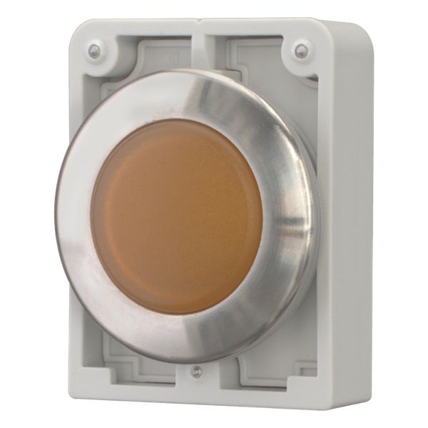 Indicator light, RMQ-Titan, flat, orange, Front ring stainless steel image 2