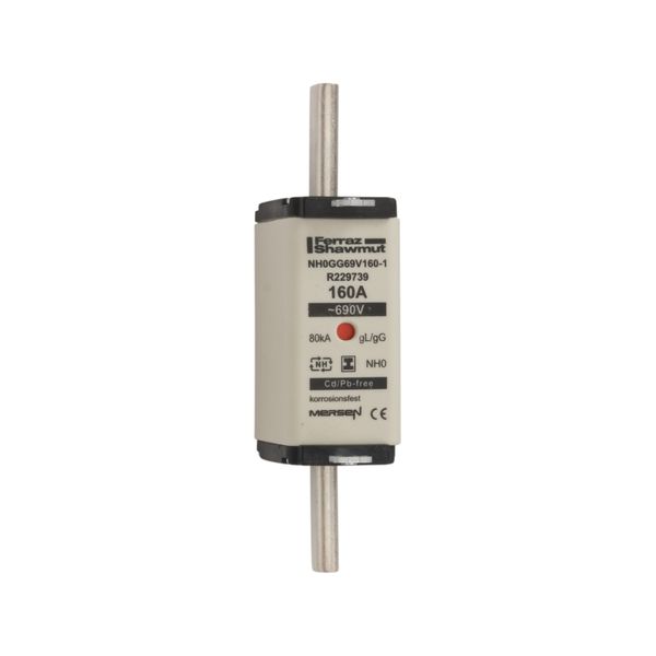 Fuse-link NH0 gG 690VAC 160A isolated tags Double indicator image 1