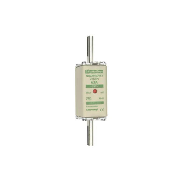 Fuse-link NH0 aM 690VAC 63A live tags Double indicator image 2