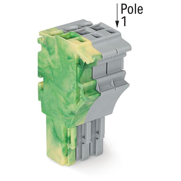 1-conductor female connector Push-in CAGE CLAMP® 4 mm² gray image 2