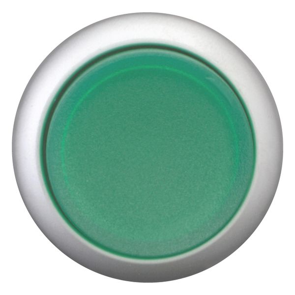 Illuminated pushbutton actuator, RMQ-Titan, Extended, maintained, green, Blank, Bezel: titanium image 5