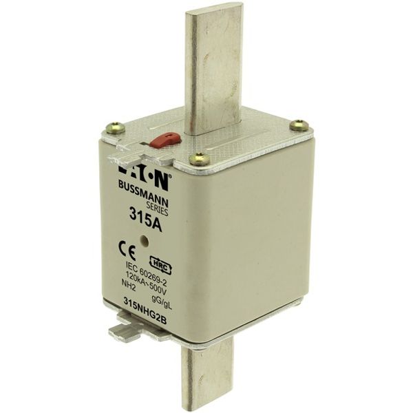Fuse-link, LV, 315 A, AC 500 V, NH2, gL/gG, IEC, dual indicator, live gripping lugs image 3
