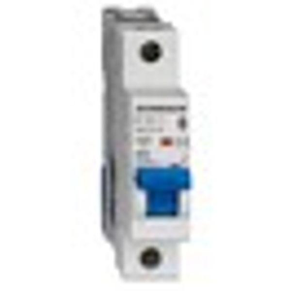 Miniature Circuit Breaker (MCB) AMPARO 10kA, D 10A, 1-pole image 7