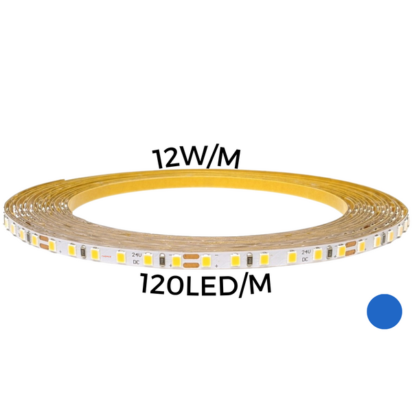LED strip 12W/m 120led/m BLUE IP67 12V 180Lum/m 36'000h CRI>80 (5m) THORGEON image 1