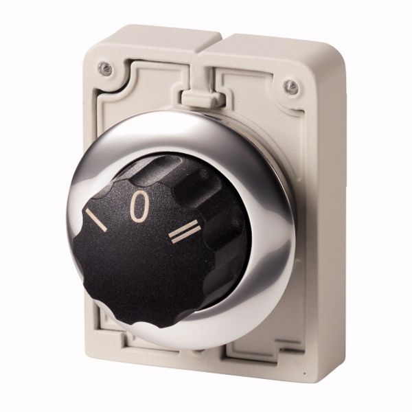 Changeover switch, RMQ-Titan, With rotary head, momentary, 3 positions, inscribed, Metal bezel image 1