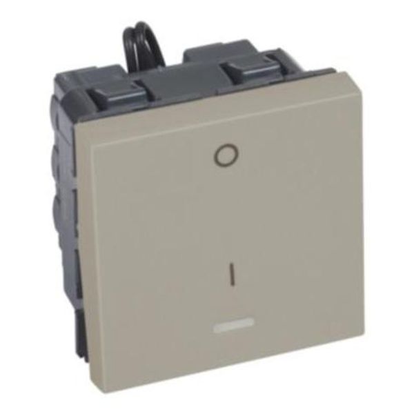 Arteor™ - 1-way double pole switch - with indicator 20 AX 250 V~ - 2 modules - Champagne image 1