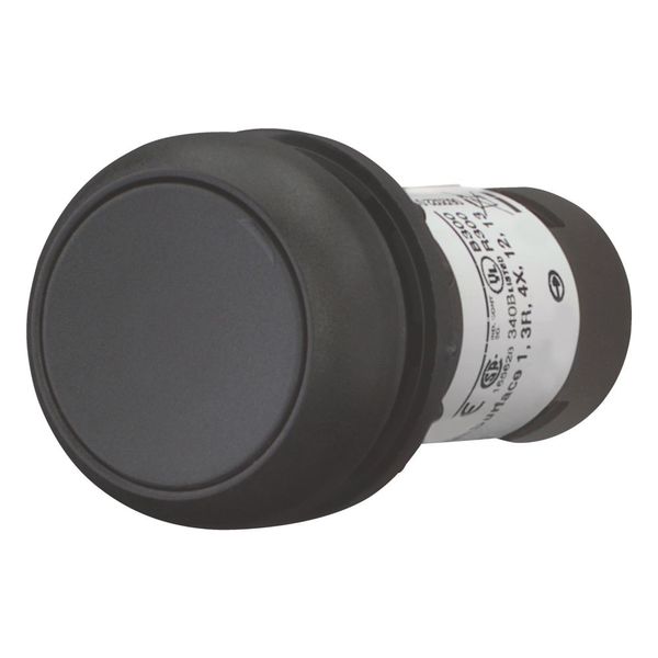 Pushbutton, Flat, momentary, 1 NC, 1 N/O, Screw connection, black, Blank, Bezel: black image 4