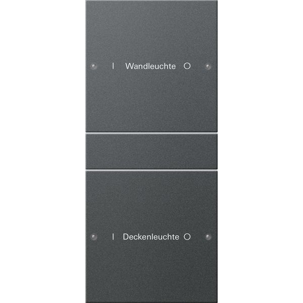 rocker set 2-g (1+1) inscr. System 55 anthra.(lac.) image 1