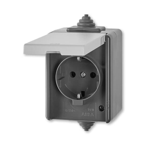 5518-3969 S Socket outlet with earthing contacts, with hinged lid, for multiple mounting image 1