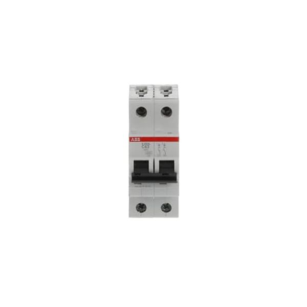 S202L-C63 Miniature Circuit Breaker - 2P - C - 63 A image 1