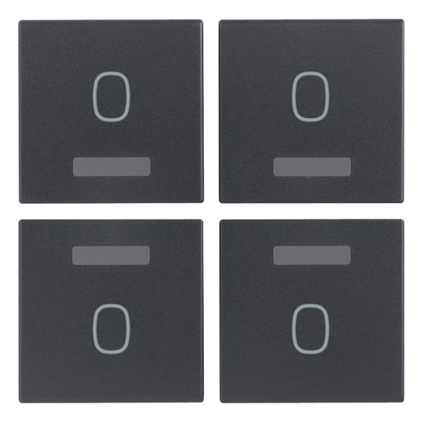 Four half-buttons 1M O symbol grey image 1