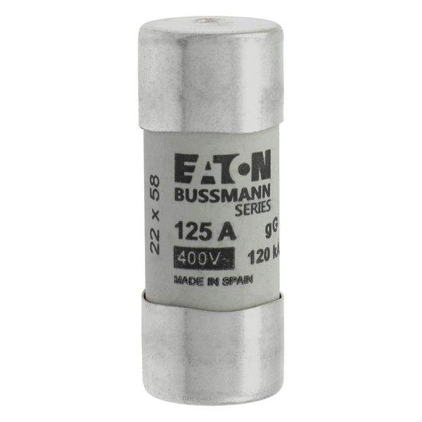 Fuse-link, LV, 125 A, AC 400 V, 22 x 58 mm, gL/gG, IEC, with striker image 8