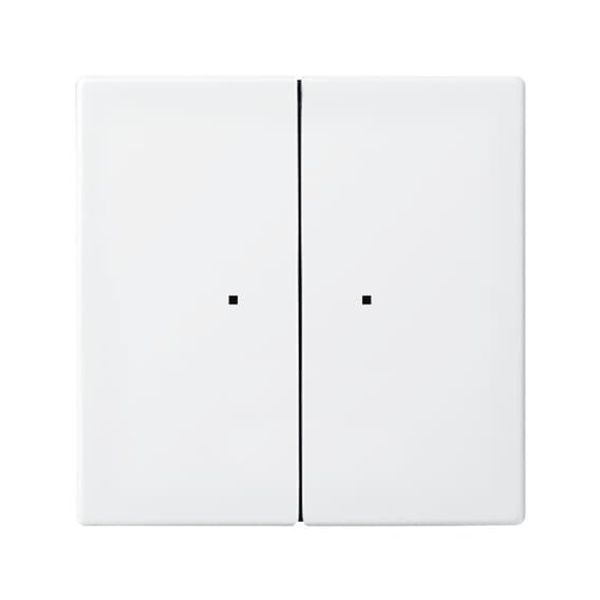 6732-914 CoverPlates (partly incl. Insert) Busch-balance® SI Alpine white image 2