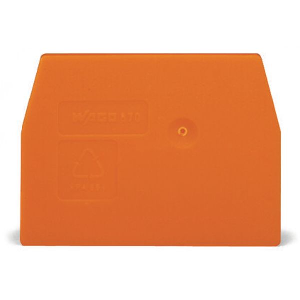 Separator plate 1 mm thick orange image 1