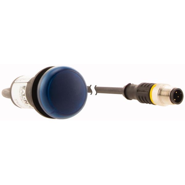 Indicator light, Flat, Cable (black) with M12A plug, 4 pole, 0.2 m, Lens Blue, LED Blue, 24 V AC/DC image 4