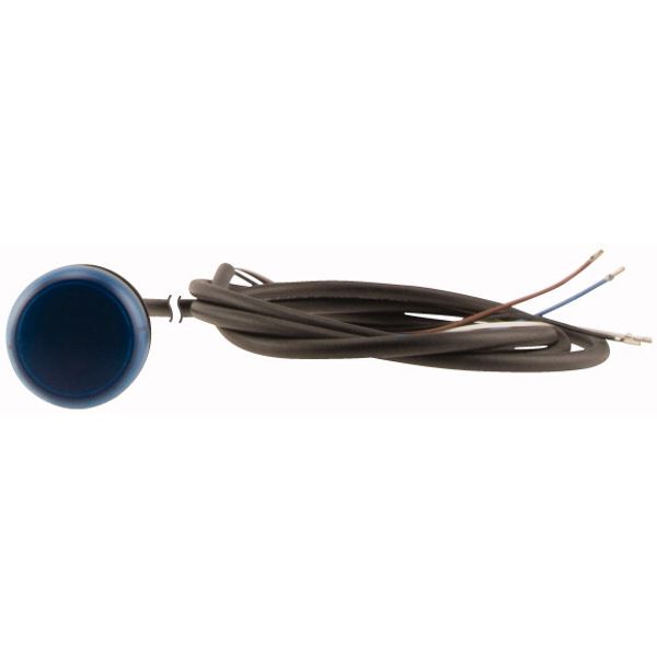 Indicator light, Flat, Cable (black) with non-terminated end, 4 pole, 3.5 m, Lens Blue, LED Blue, 24 V AC/DC image 2