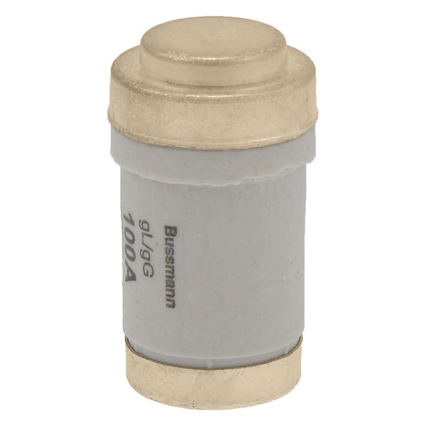 Fuse-link, LV, 100 A, AC 400 V, D03, gL/gG, IEC, time-delay image 19