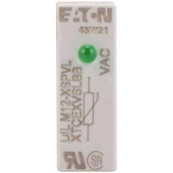Varistor suppressor circuit, +LED, 24 - 48 AC V, For use with: DILM7 - DILM15, DILMP20, DILA image 2