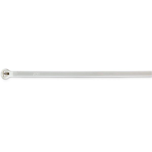 TY27MFR CABLE TIE 120LB 13IN WHI NYL FLMRTD image 1