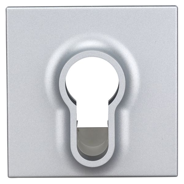 Cover for key switch, silver image 2