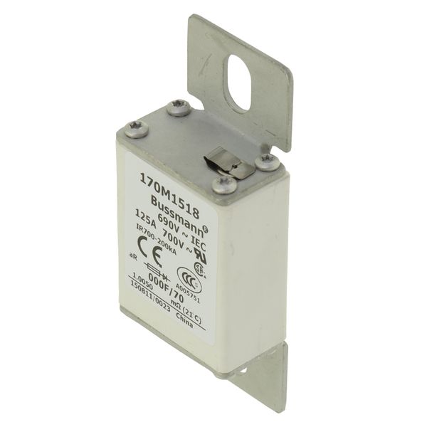 Fuse-link, high speed, 100 A, AC 690 V, size 000, 24 x 36 x 96 mm, aR, IEC, visual indicator image 16