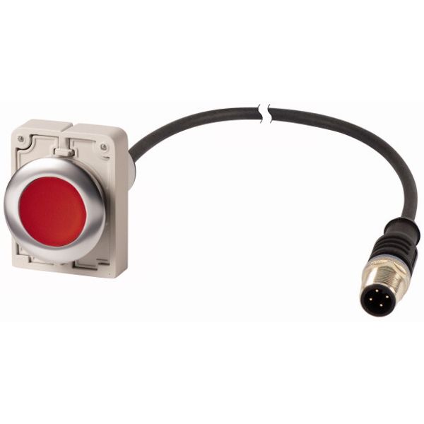 Pushbutton, Flat, maintained, 1 NC, Cable (black) with M12A plug, 4 pole, 1 m, red, Blank, Metal bezel image 1