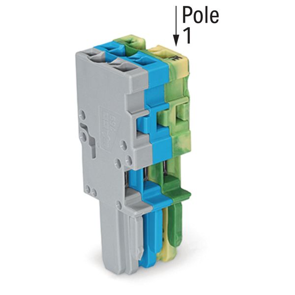 1-conductor female connector CAGE CLAMP® 4 mm² gray/blue/green-yellow image 2