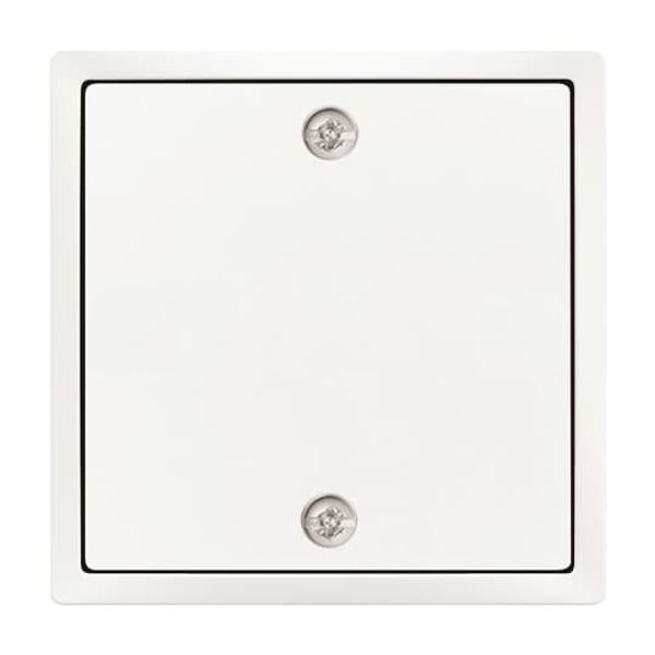 1796-866 CoverPlates (partly incl. Insert) pure stainless steel Stainless steel image 7