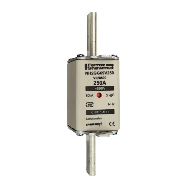 Fuse-link NH2 gG 690VAC 250A live tags Double indicator image 2