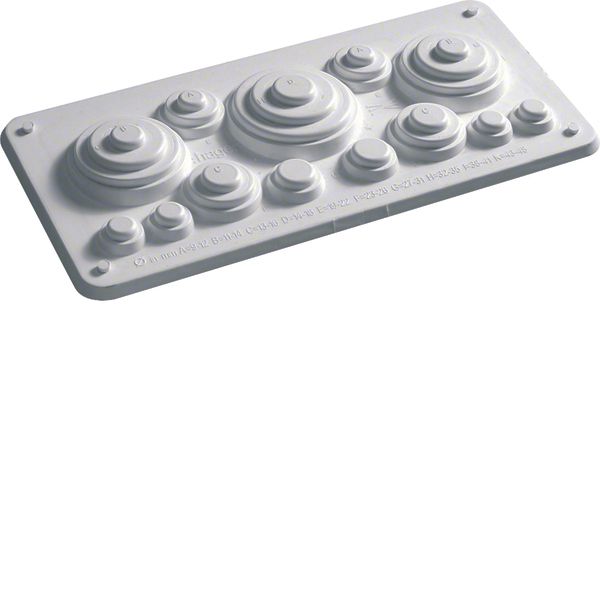Cable entry plate,univers, for sealed area, with cut-outs, for IP44/54 image 1