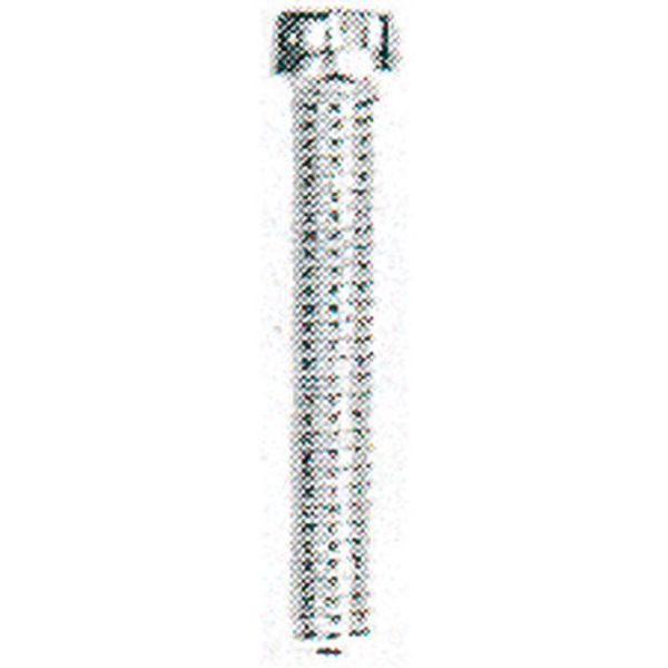 Mounting screw (Terminal), 0.00 M2.5 image 4