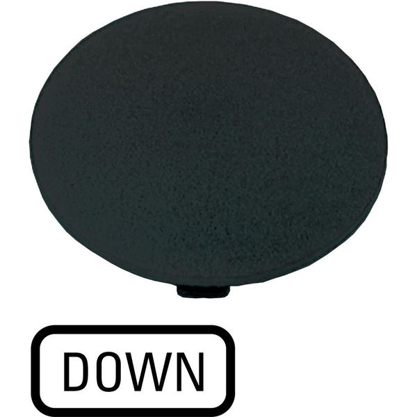 Button plate, mushroom black, DOWN image 4