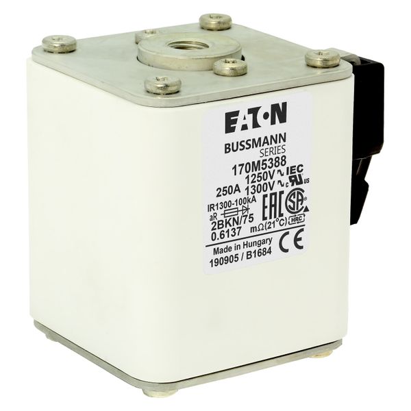 Fuse-link, high speed, 250 A, AC 1250 V, size 2, 61 x 75 x 77 mm, aR, IEC, UL, single indicator image 18