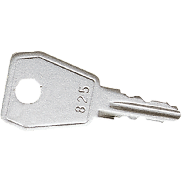 Spare key for all hinged lids with safe. 819SL image 1