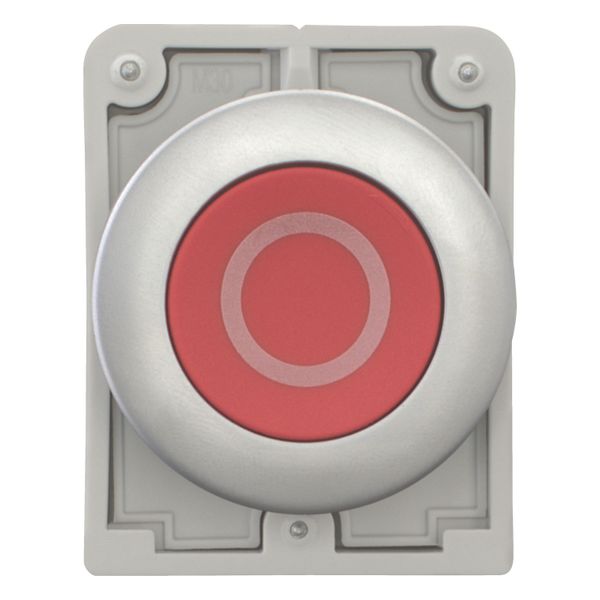 Pushbutton, RMQ-Titan, Flat, maintained, red, inscribed, Metal bezel image 11